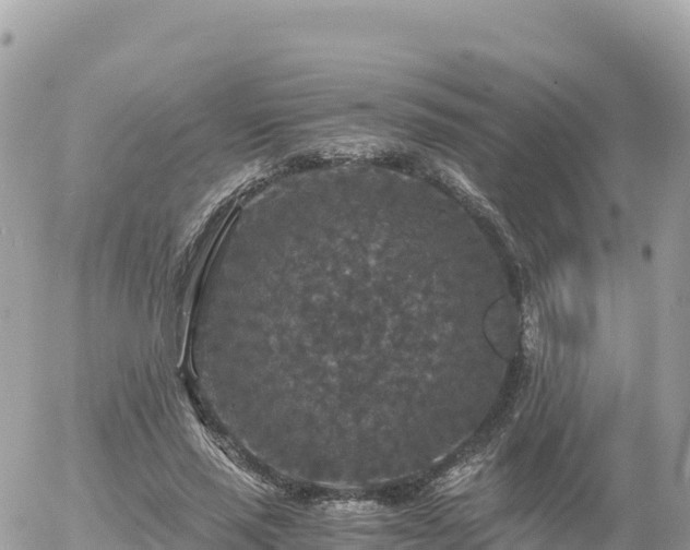 X0000056000637200508261751