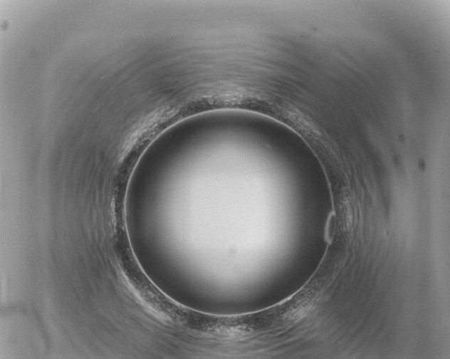 X0000056000638200508261751