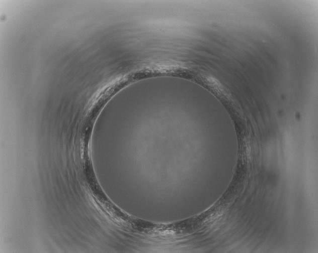 X0000056000640200508261751