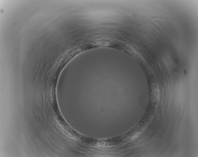 X0000056000641200508261751