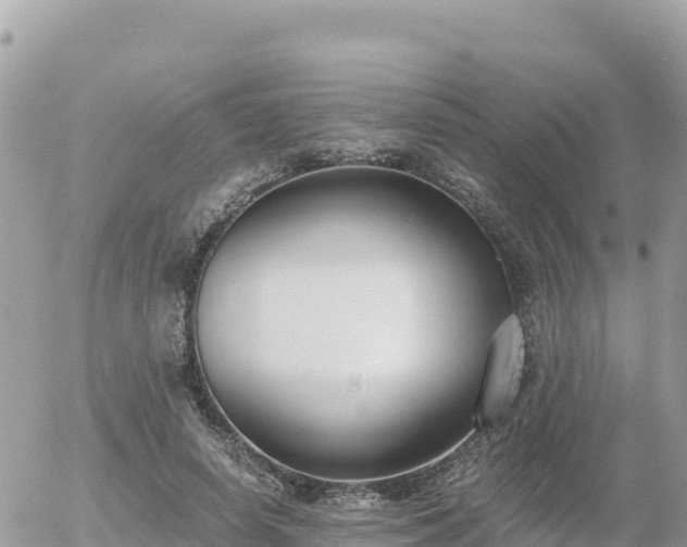 X0000056000642200508261751