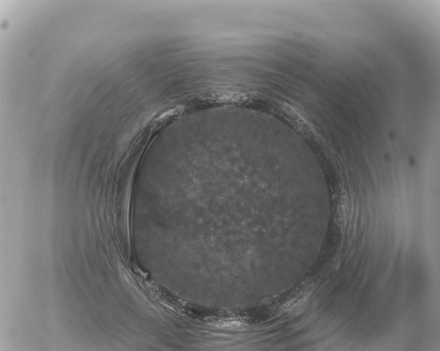 X0000056000643200508261751