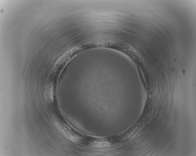 X0000056000644200508261751