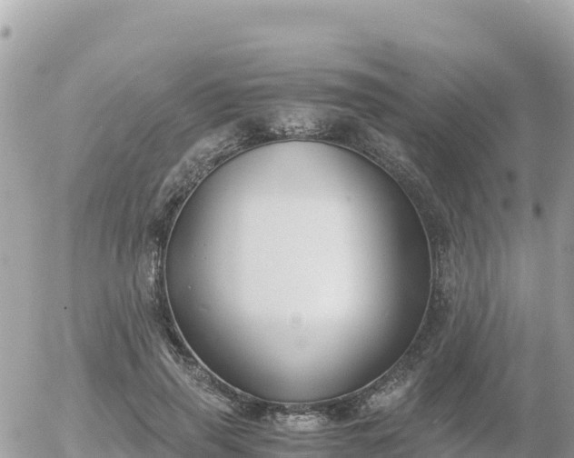 X0000056000645200508261751