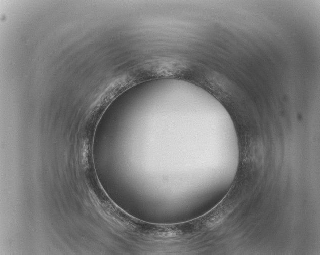 X0000056000646200508261751