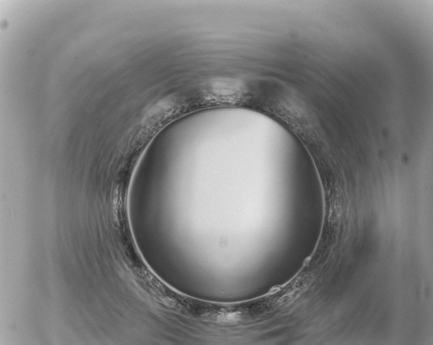 X0000056000647200508261751