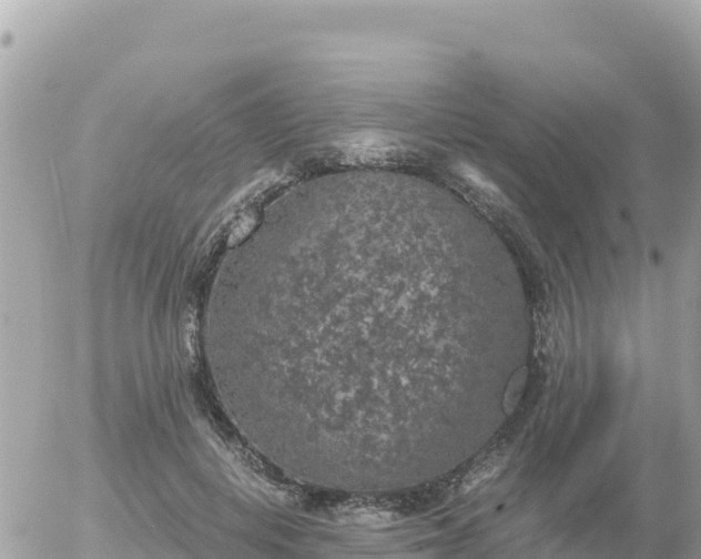 X0000056000648200508261751