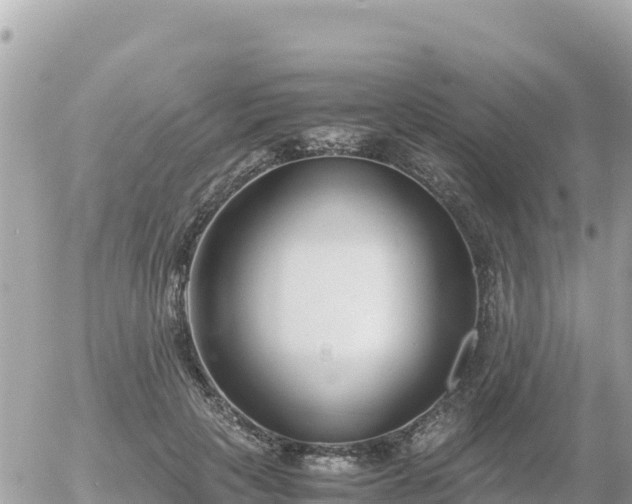 X0000056000649200508261751