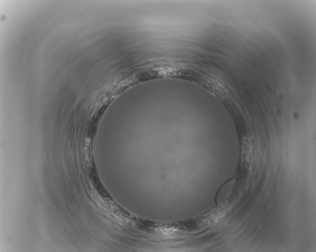 X0000056000650200508261751