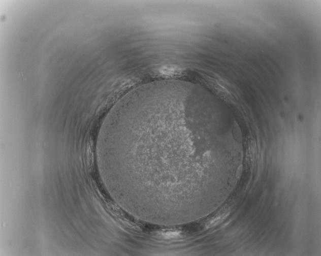 X0000056000651200508261751