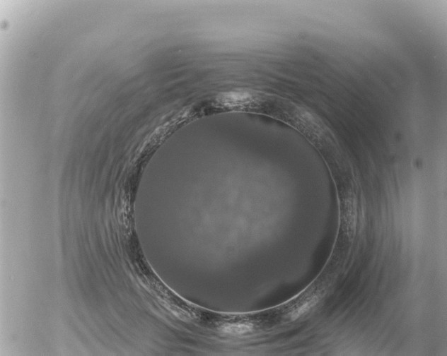 X0000056000653200508261751