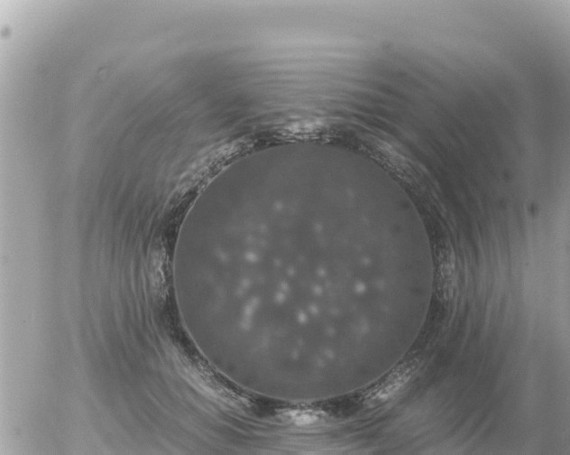 X0000056000654200508261751