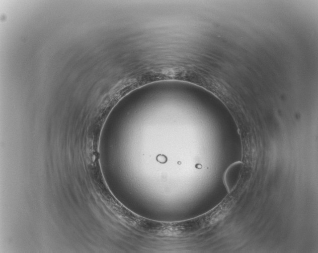 X0000056000656200508261751