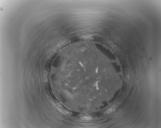 X0000056000658200508261751