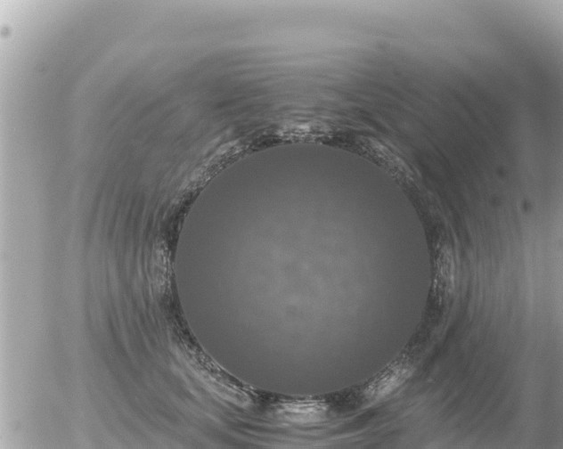 X0000056000659200508261751