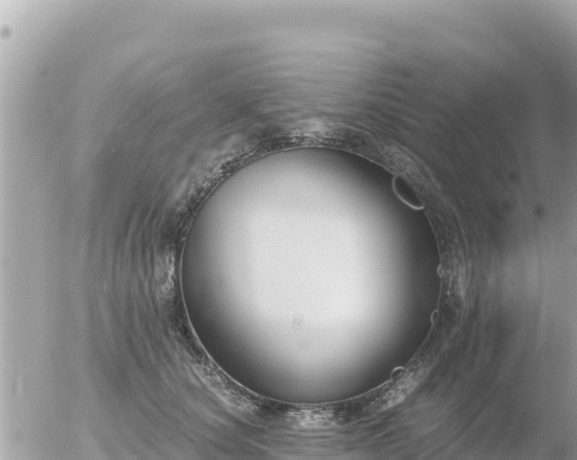 X0000056000660200508261751