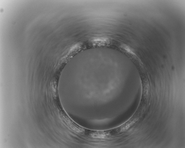 X0000056000661200508261751