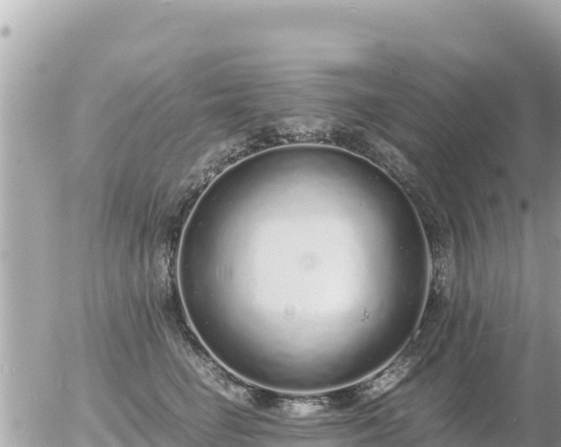 X0000056000662200508261751