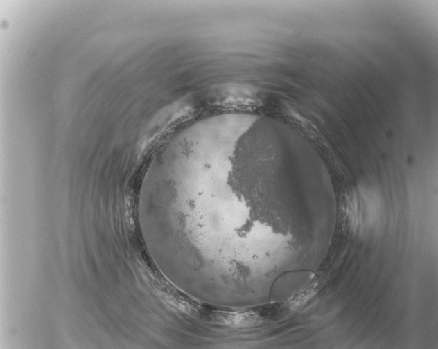 X0000056000663200508261751