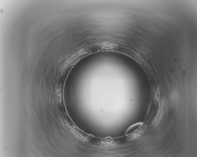 X0000056000666200508261751