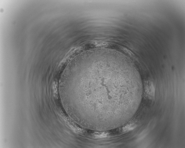 X0000056000667200508261751