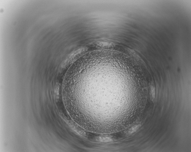 X0000056000668200508261751