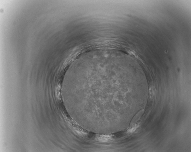 X0000056000671200508261751