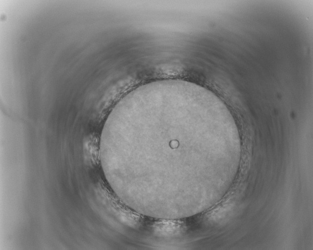 X0000056000672200508261751