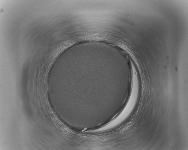 X0000056000673200508261750