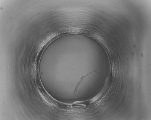 X0000056000674200508261750