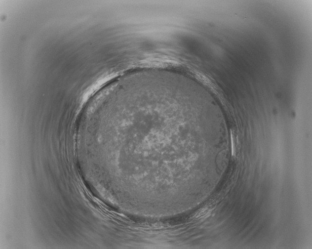 X0000056000675200508261750