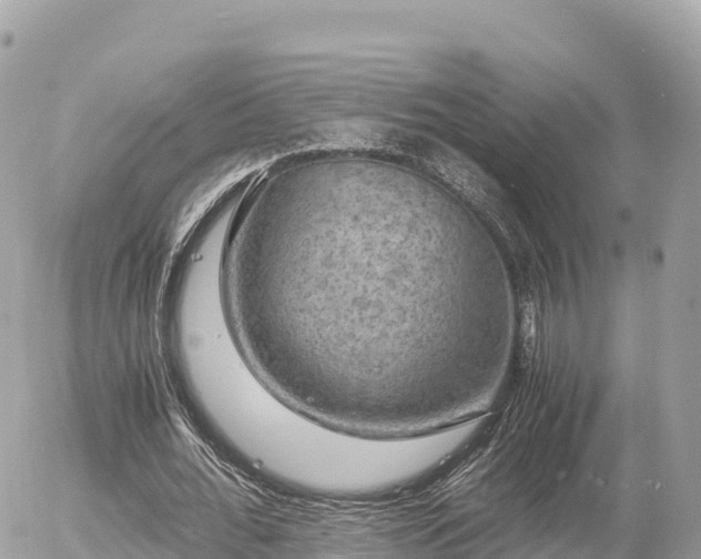 X0000056000676200508261750