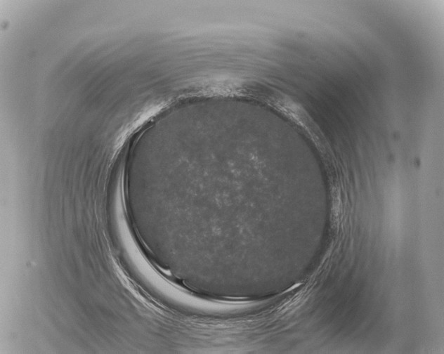 X0000056000677200508261750