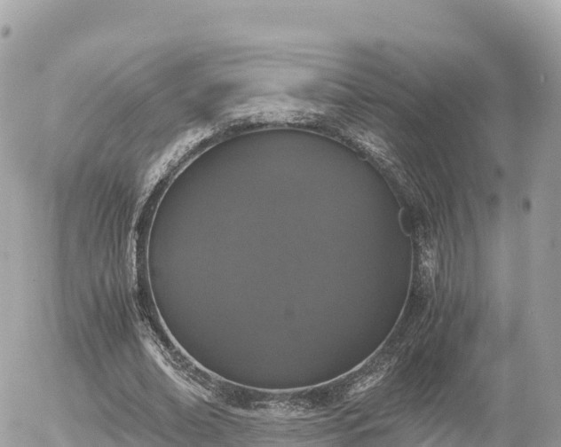 X0000056000678200508261750