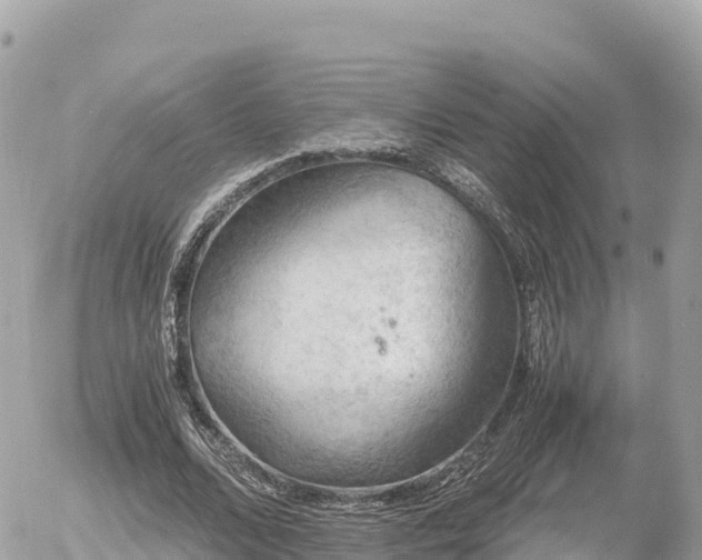 X0000056000680200508261750