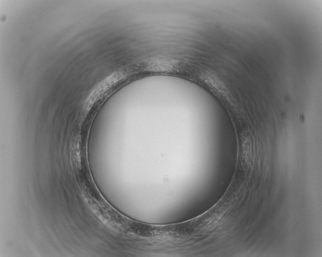 X0000056000682200508261750