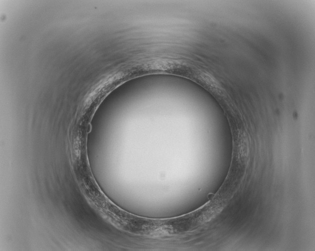 X0000056000683200508261750