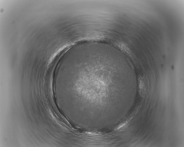 X0000056000684200508261750