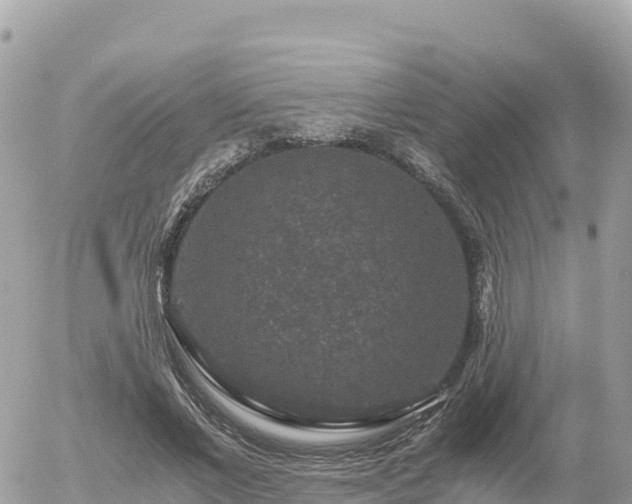 X0000056000685200508261750