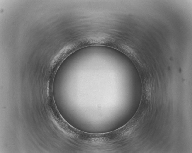 X0000056000686200508261750