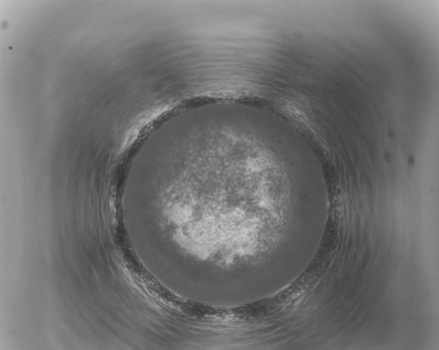 X0000056000688200508261750