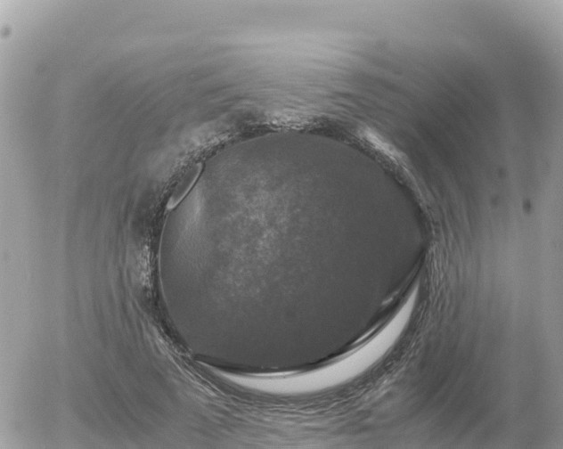 X0000056000689200508261750