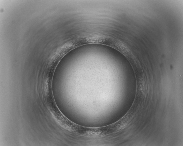 X0000056000690200508261750