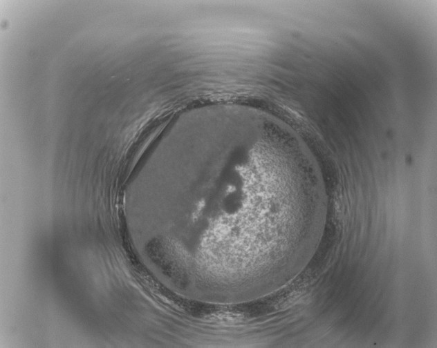 X0000056000691200508261750