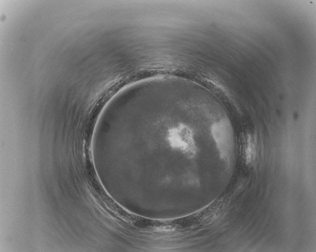 X0000056000692200508261750