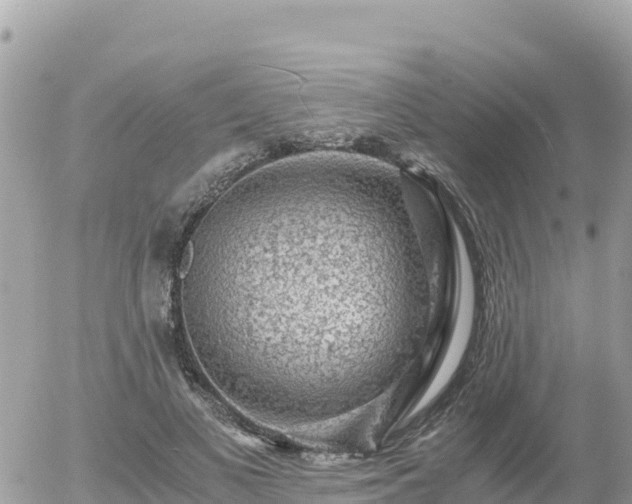 X0000056000693200508261750