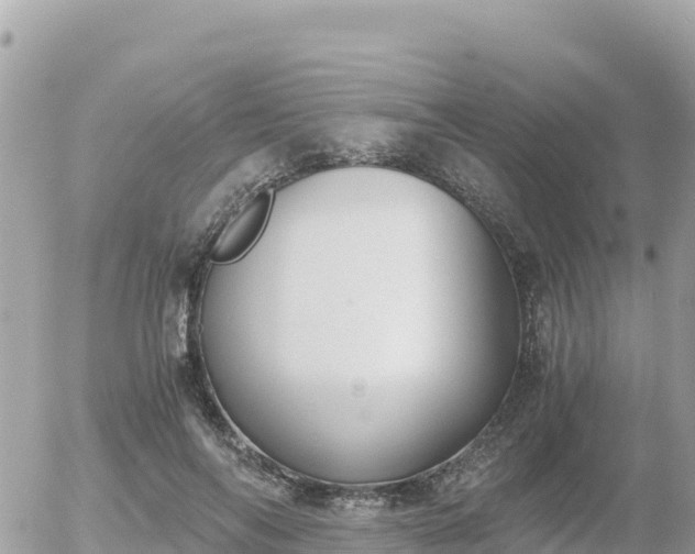 X0000056000694200508261750