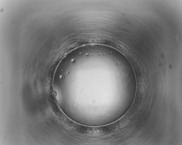 X0000056000695200508261750