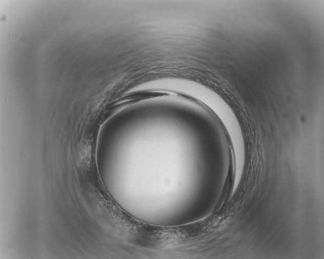 X0000056000697200508261750