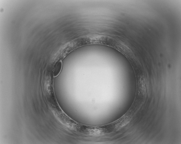 X0000056000698200508261750